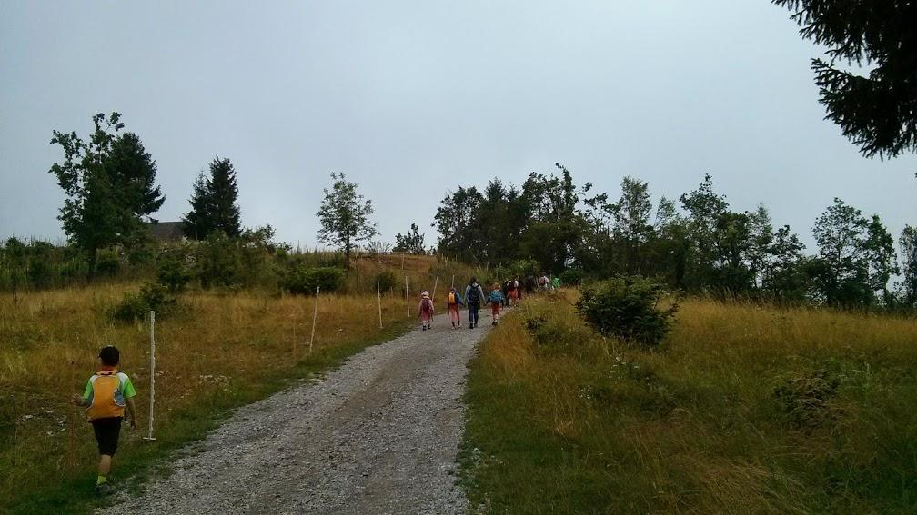zakljucni 2014
